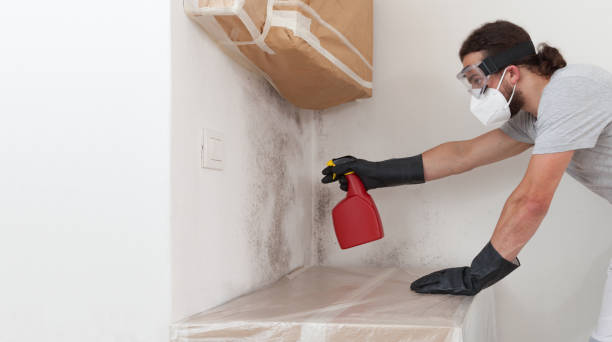 Attic Mold Remediation treatment on roof deck in Hudson